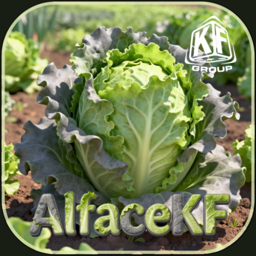 AlfaceKF.com